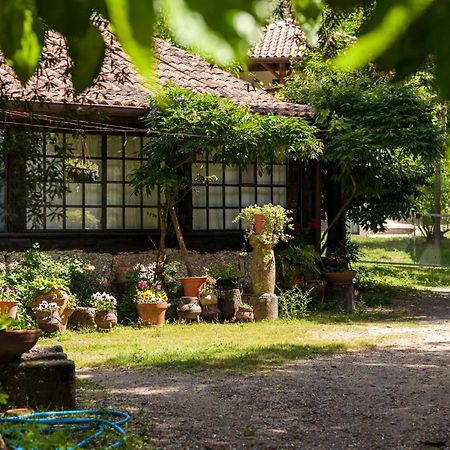 Гостевой дом Chale Da Quinta "Lavoura Da Bouca - Fruta Bio" Селорику-ди-Башту Экстерьер фото