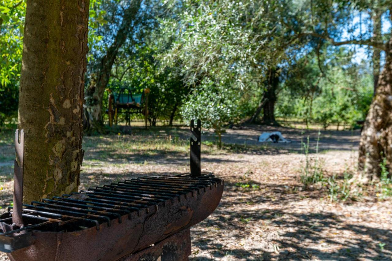 Гостевой дом Chale Da Quinta "Lavoura Da Bouca - Fruta Bio" Селорику-ди-Башту Экстерьер фото