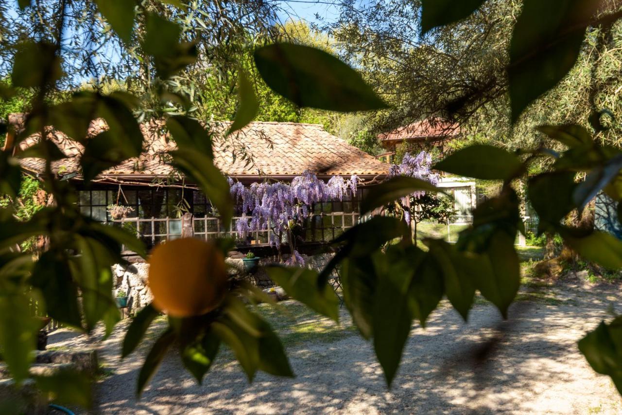 Гостевой дом Chale Da Quinta "Lavoura Da Bouca - Fruta Bio" Селорику-ди-Башту Экстерьер фото